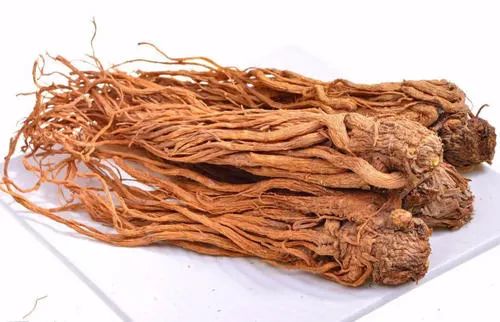 The Efficacy and Functions of Angelica Sinensis