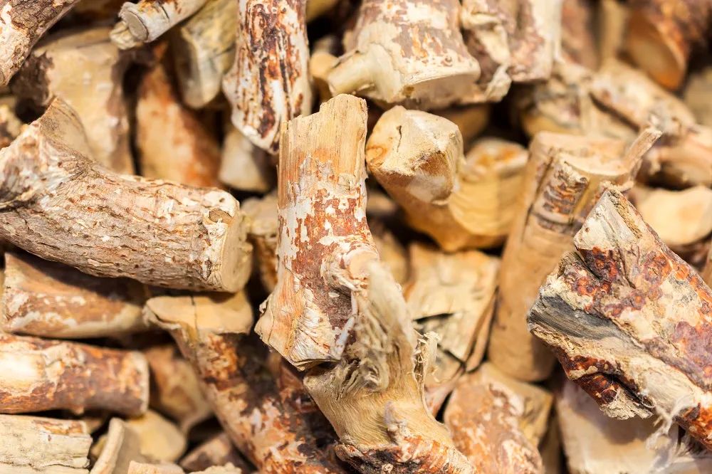 What is 'Dampness' as Commonly Said by People in Guangdong? Recommended TCM Formulas for Dampness Removal