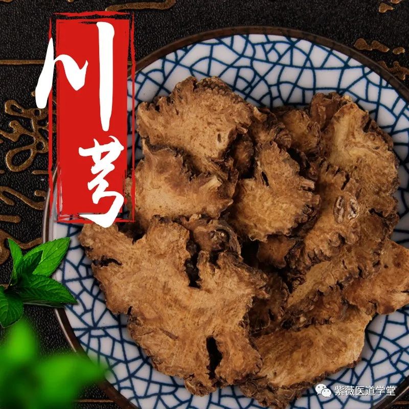 Guide to the Use of Chuanxiong (Ligusticum Chuanxiong)