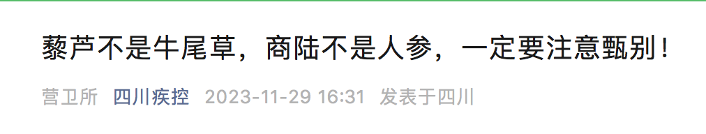 Female Student Mistakes 'Ginseng' for Poisonous Plant, Sleeps for 17 Hours
