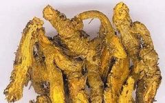 The Efficacy and Usage of Huang Lian (Coptis chinensis)