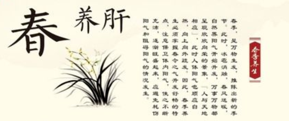 Health Science Popularization: TCM Seasonal Health Tips