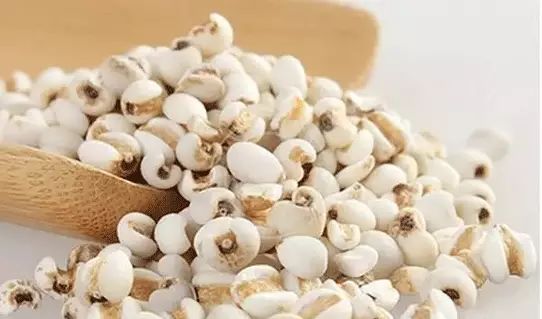 The Marvelous Benefits of Coix Seed (Yi Yi Ren)