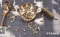 Commonly Used Chinese Herb: Lian Qiao (Forsythia)