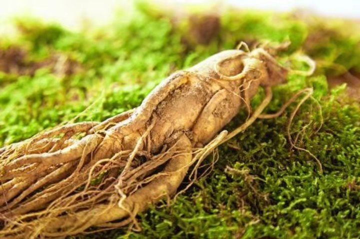 The Medical Benefits of Ginseng You Need to Know!