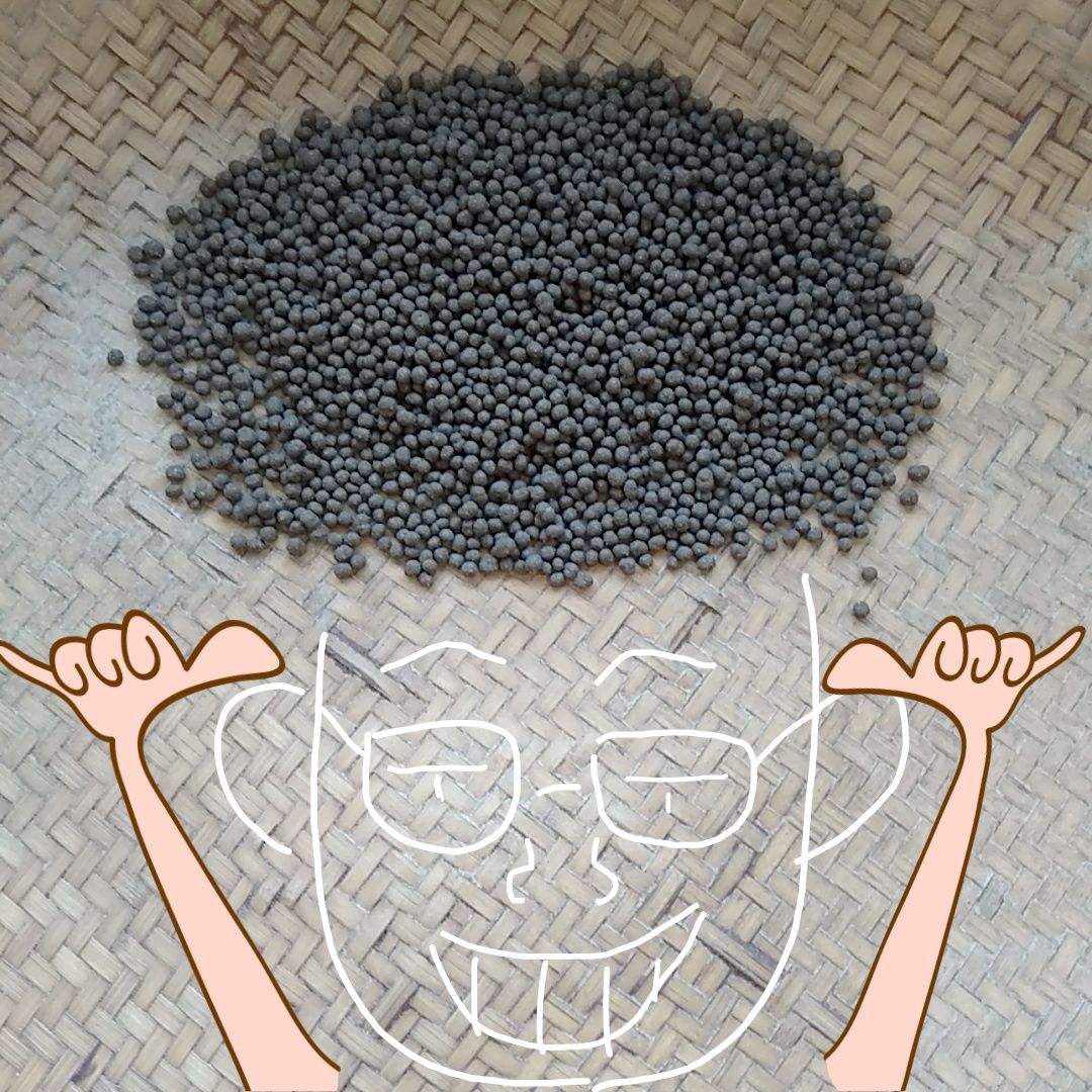 Exploring the Unique World of Traditional Chinese Medicine Pills
