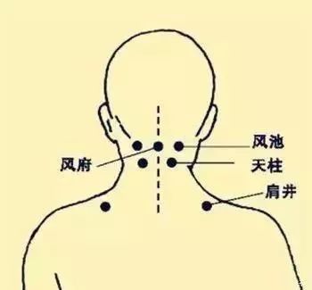 Common Acupuncture Points and Their Effects! (Illustrated Version)