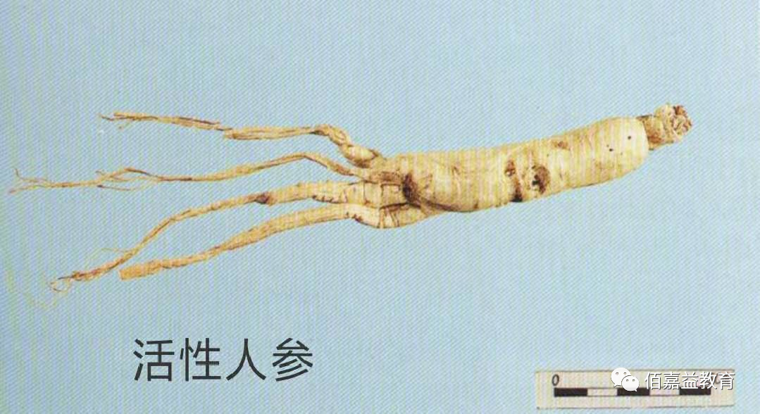 How to Distinguish Genuine from Fake Ginseng