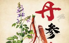 How to Consume Dan Shen (Salvia miltiorrhiza)?