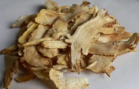 Daily Learning of a Chinese Herb: Angelica Sinensis