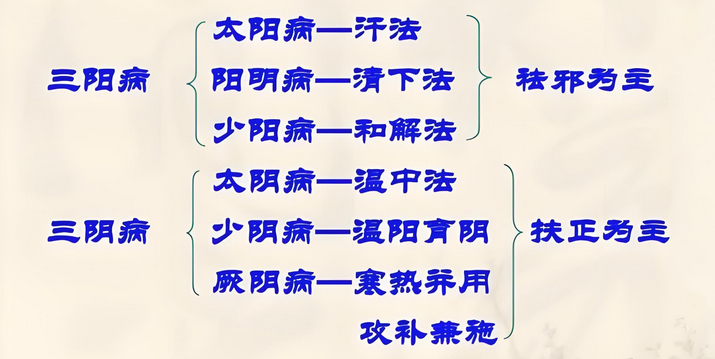 Understanding the Classics: Key Insights from the "Shang Han Lun" (Collector's Edition)