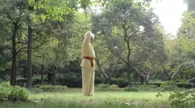 Simple and Easy to Learn! Illustrated Guide to the Twelve Movements of the Ancient Yi Jin Jing (Includes Video)