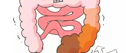 Constipation in Women Often Indicates Blood Deficiency