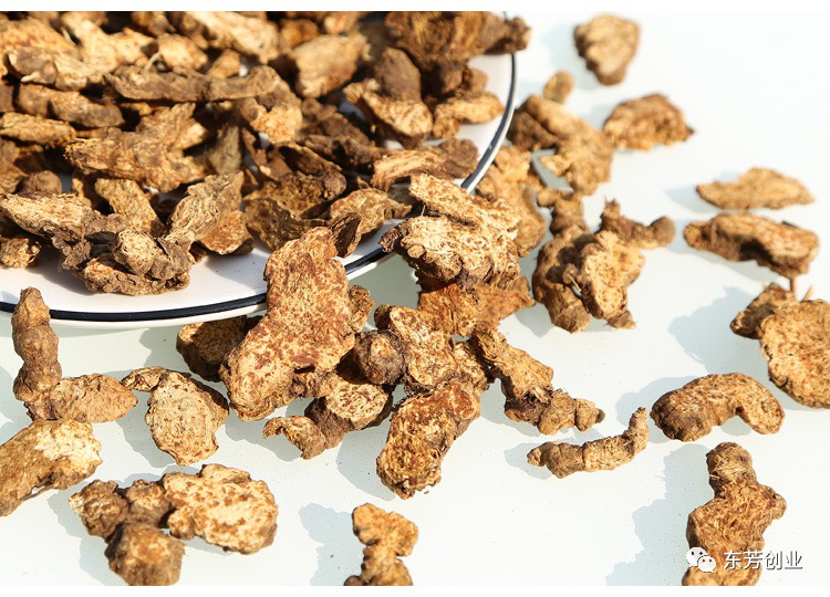 The Efficacy and Functions of Cang Zhu (Atractylodes Lancea)
