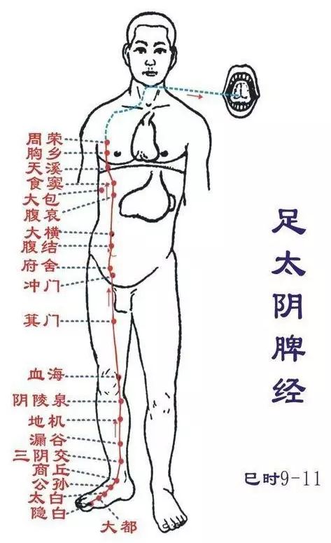 Essentials: The Twelve Meridians and Their Source, Luo, and Transport Points (Summary with Images)
