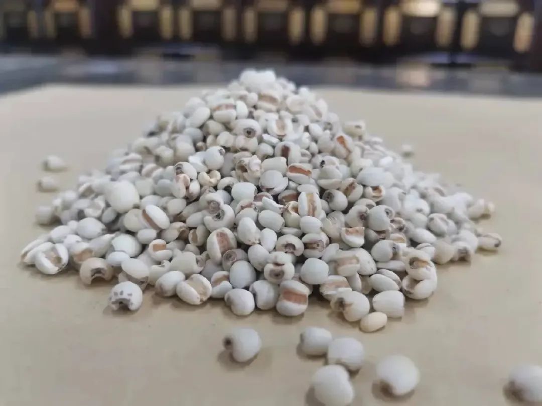 Yi Yi Ren: A Premium Herb for Dampness Removal and Spleen Health