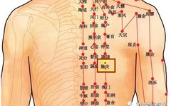 Mastering the Use of the 'Fifteen Luo Points' for Swift Therapeutic Effects
