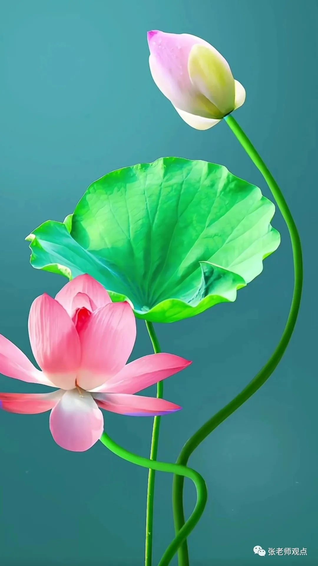 Dry Eyes, Itchy Eyes, and Blurred Vision: Understanding TCM Perspectives
