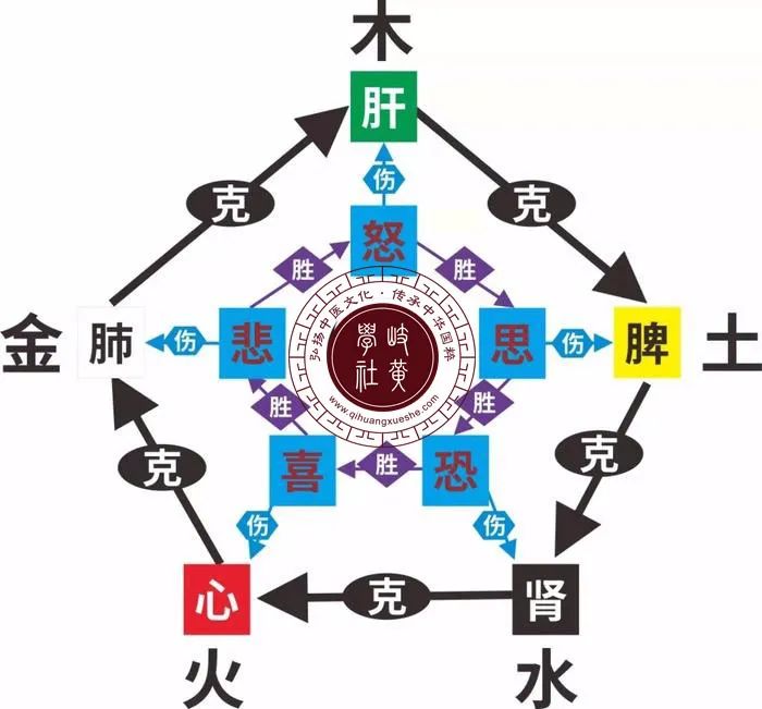 Understanding the Seven Emotions and Their Impact on Health in Traditional Chinese Medicine