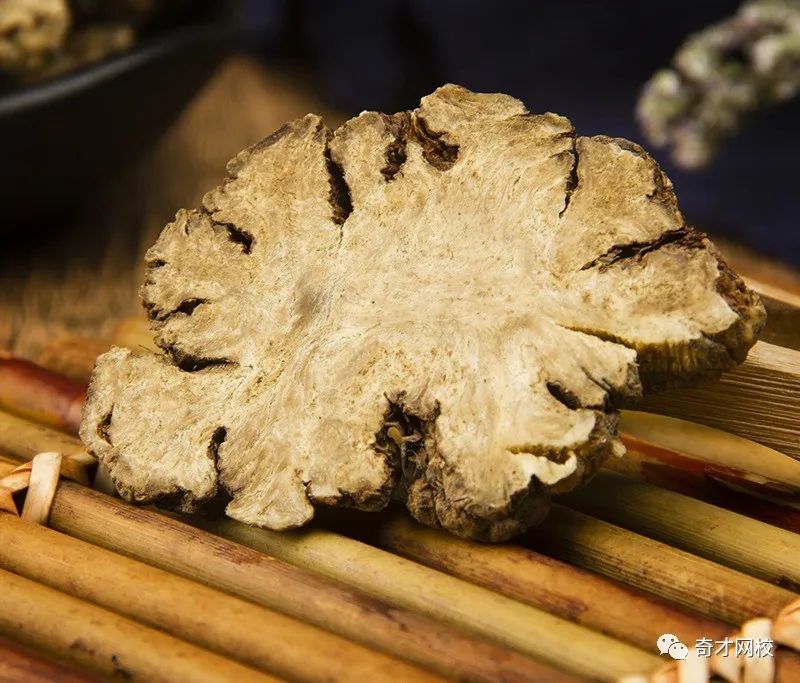 Understanding a Chinese Herbal Medicine Each Day