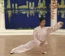 Comprehensive Guide to Tai Chi Movements: Exercise at Home!