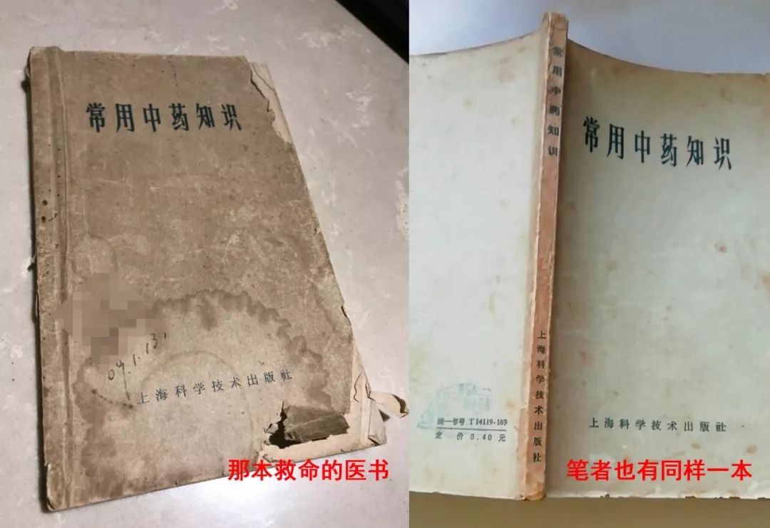 A Single Herb: Huang Qi (Astragalus) Saves a Mother