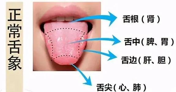 Brushing Your Tongue: Why It's Essential for Oral Health