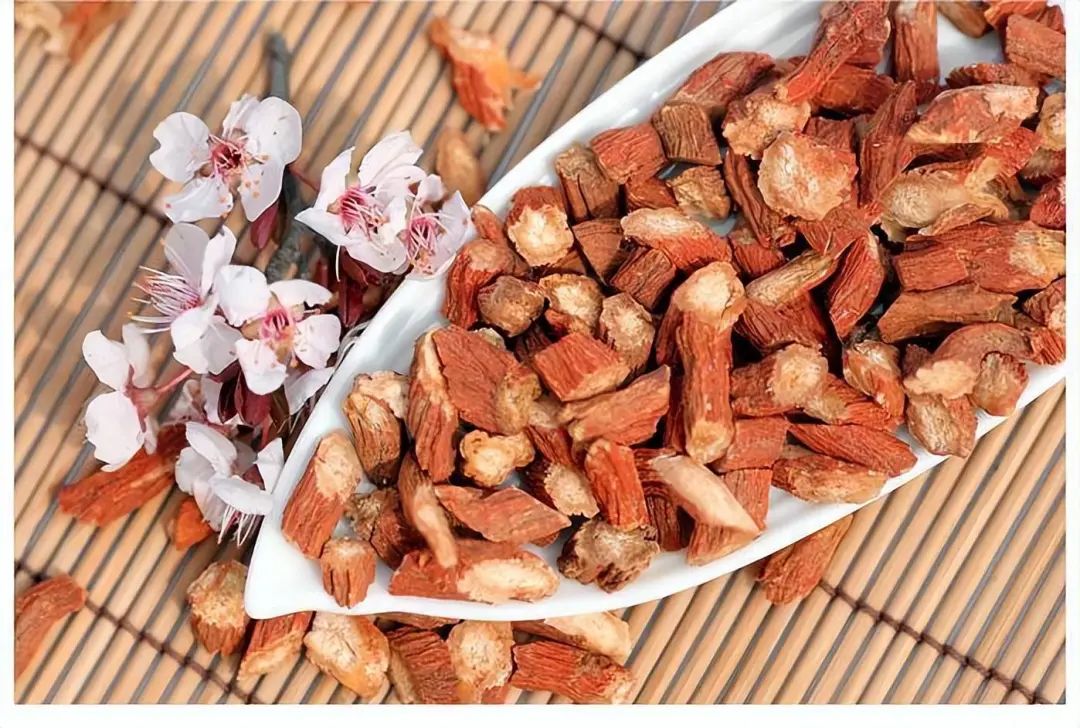 The "Golden Partner" of Danshen: Regular Consumption May Promote Blood Circulation and Dissolve Thrombus