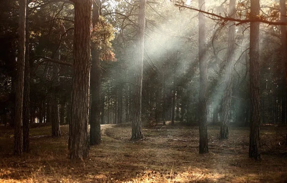 The Ultimate Goal of Health Preservation is to Cultivate Good Habits!