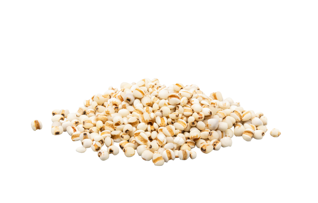 The Medicinal Value of Job's Tears (Coix Seed)