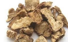 The Efficacy and Functions of Angelica Sinensis (Dang Gui)