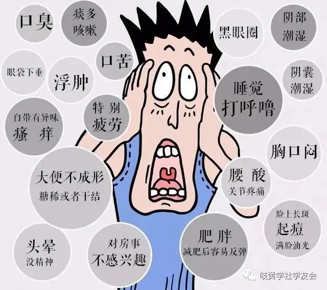 Understanding Dampness in Traditional Chinese Medicine: Symptoms, Effects, and Remedies