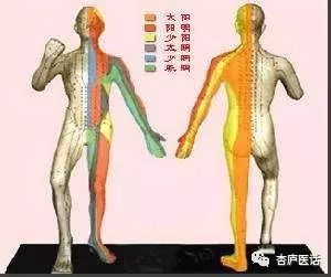 Discussing the Theory of Meridians in Traditional Chinese Medicine - Collaterals, Tendons, and Skin Areas