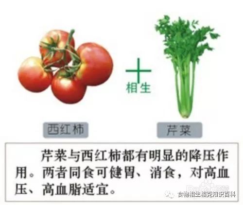 A Comprehensive Guide to Complementary and Contradictory Foods in TCM