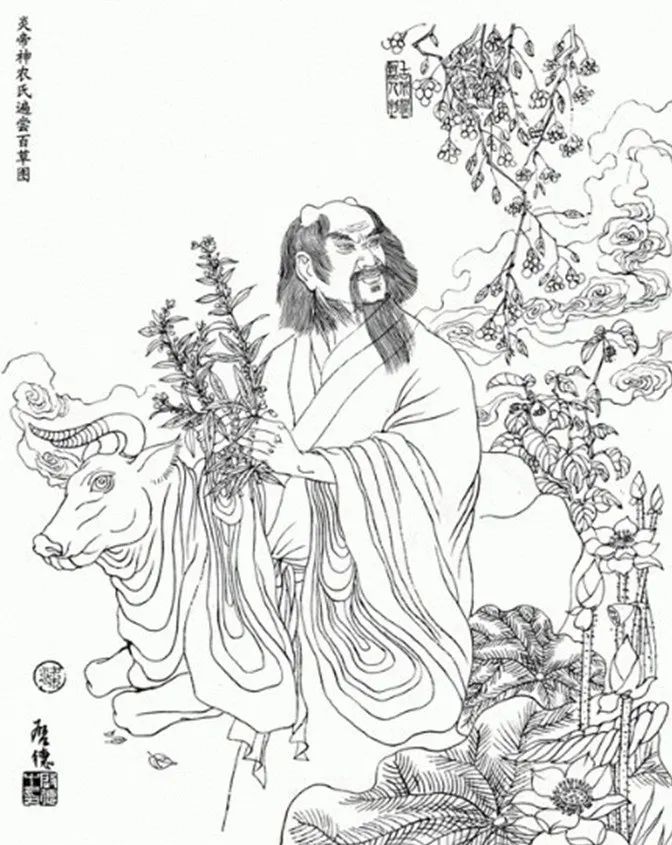 What is Traditional Chinese Medicine?