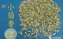 A Discussion on Warming Yang Herbs and Yang Supplementing Herbs
