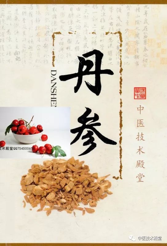 Dan Shen and Hawthorn Powder: A Preventive Remedy for Cardiovascular Health