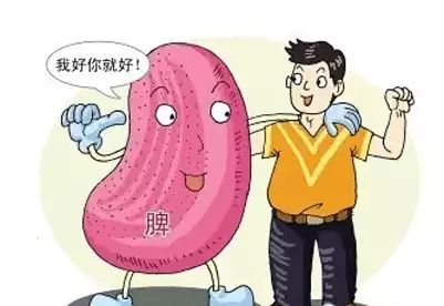 The Marvelous Benefits of Coix Seed (Yi Yi Ren)