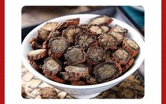 Dan Shen - Understanding a Medicinal Herb Every Day