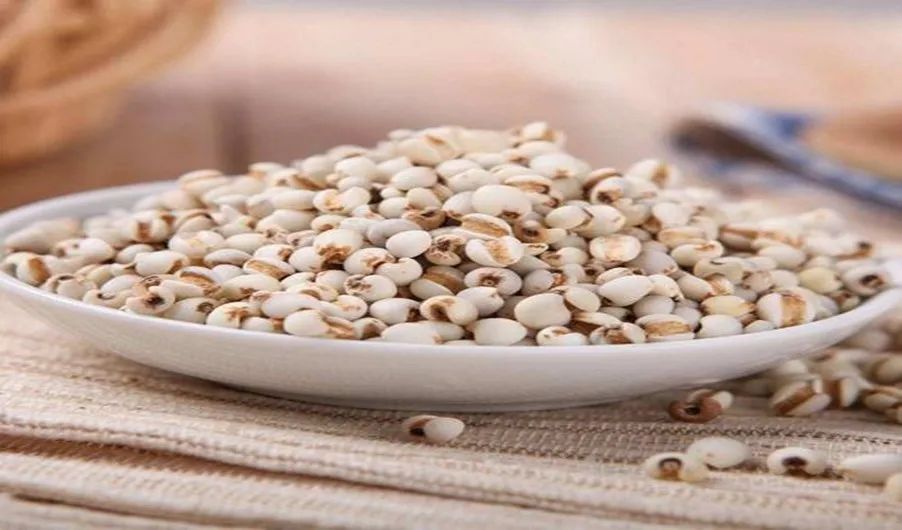 The Charm of Coix Seed | Yiyiren