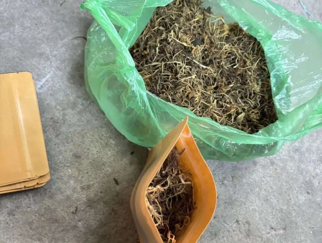 Honeysuckle: The First Flower for Clearing Heat and Detoxification, A Must-Try Herbal Tea for Health