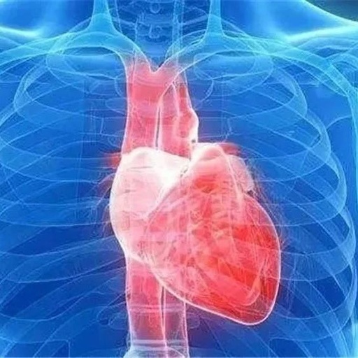 Understanding Cold Conditions in the Heart, Liver, and Kidneys in Traditional Chinese Medicine