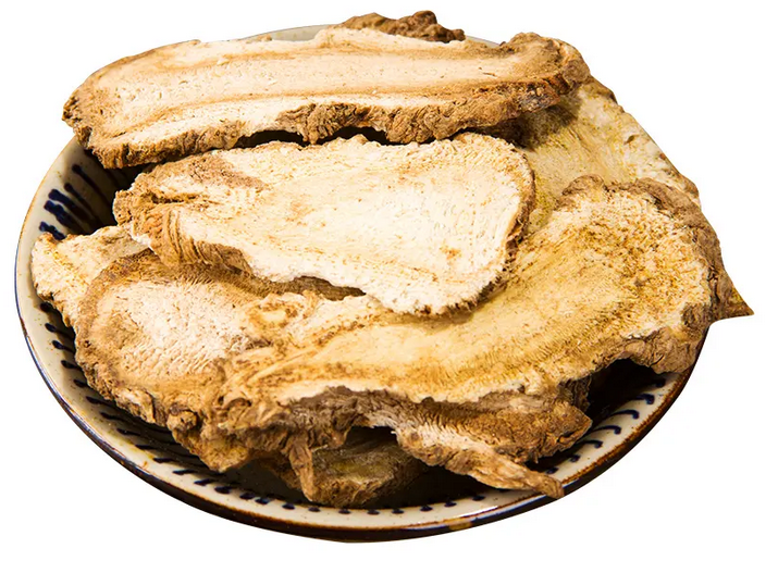 Atractylodes: A Powerful Herb for Dampness, Spleen Health, and Wind-Damp Relief