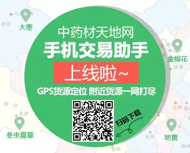 The Market Trends of Bei Cang Zhu (Atractylodes macrocephala) and Its Future Prospects