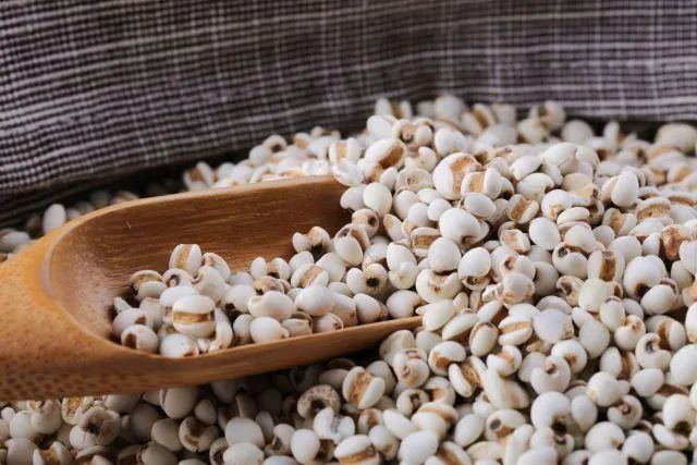 The Efficacy and Functions of Coix Seed (Yi Yi Ren)