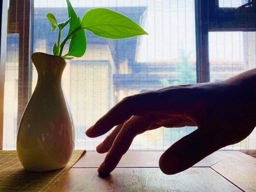Guiding and Pressing: An Ancient TCM Method on the Brink of Extinction