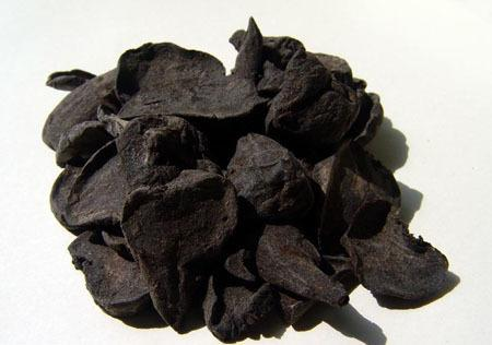 The Remarkable Chinese Herb: Fu Zi (Aconite)