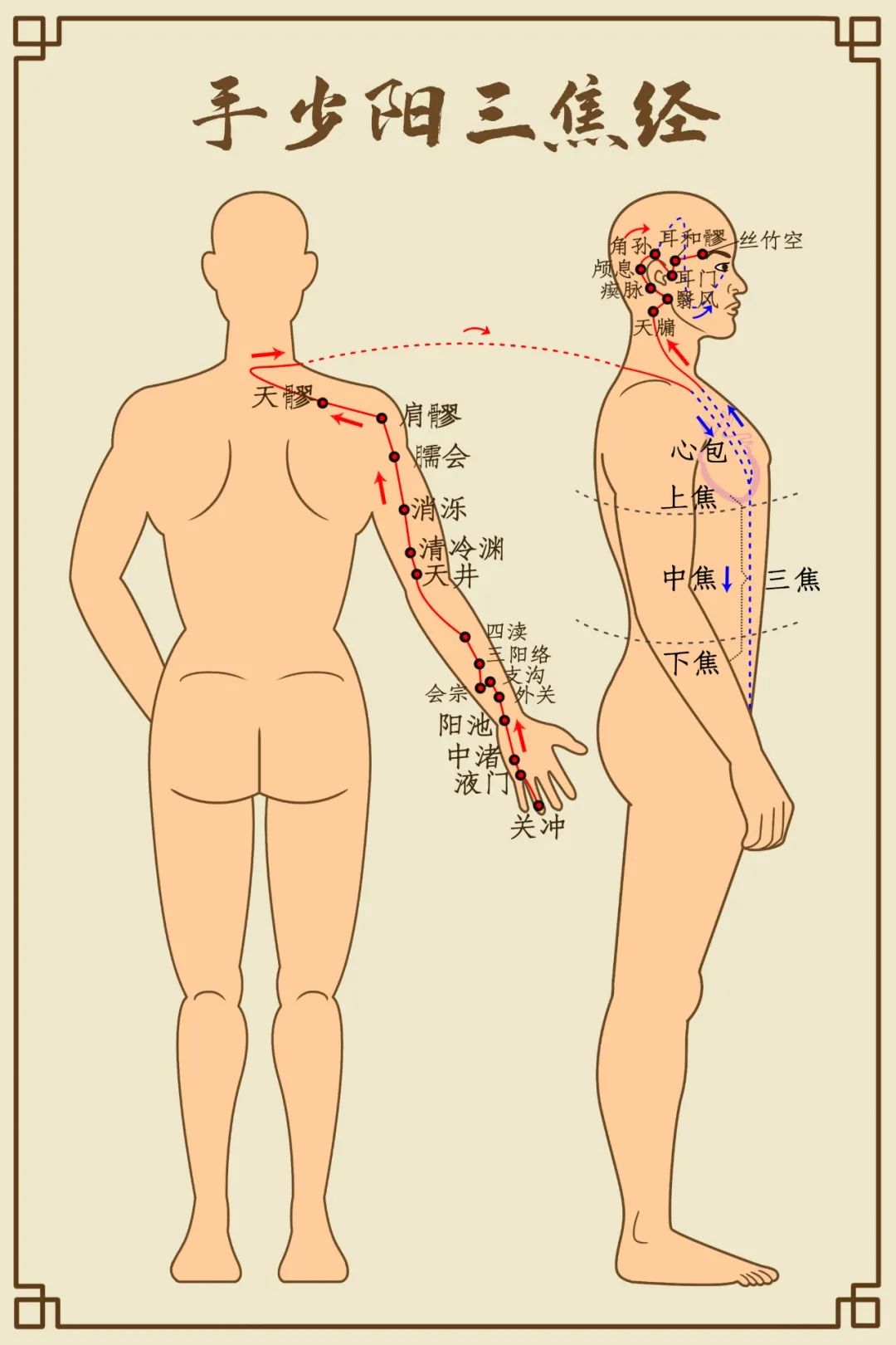 Comprehensive Diagram of Human Meridians (Recommended for Collection)
