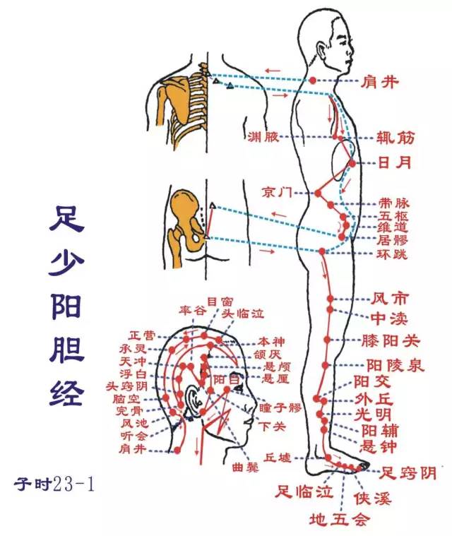 Essentials: The Twelve Meridians and Their Source, Luo, and Transport Points (Summary with Images)