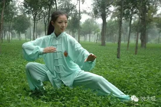 The 13 Essentials of Tai Chi: Mastering the Art Like a Veteran